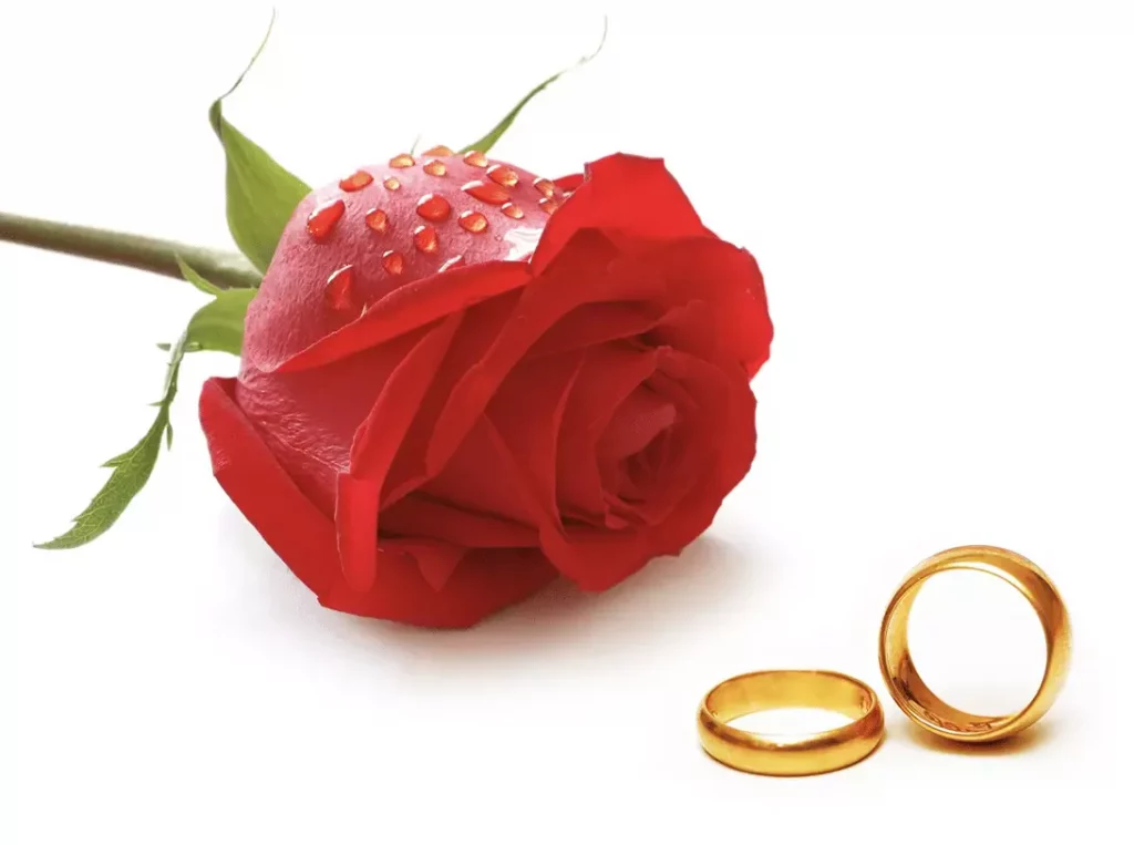 Bague-mariage-rose-evenement