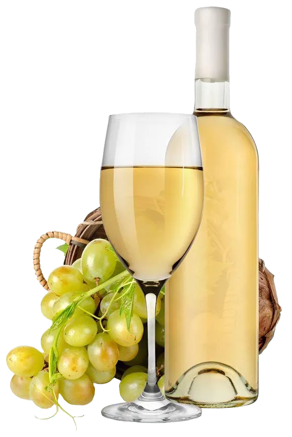 Vin-blanc-de-la-Cave-de-Malville